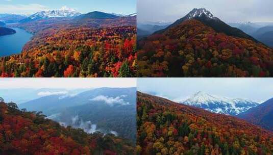 色彩斑斓的山林与积雪覆盖的山峰高清在线视频素材下载