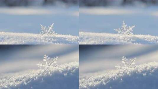 微距雪花冰晶特写高清在线视频素材下载