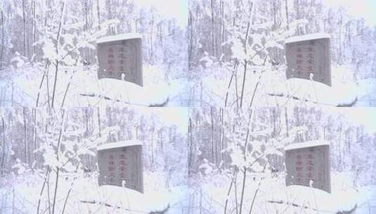 雪地中森林防火石碑高清在线视频素材下载