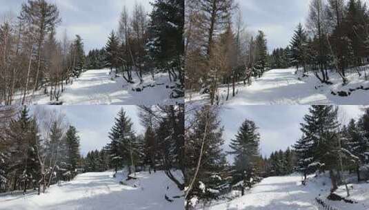 冬日积雪覆盖的森林小道高清在线视频素材下载