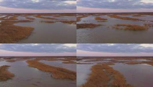 黄河三角洲湿地日出航拍高清在线视频素材下载