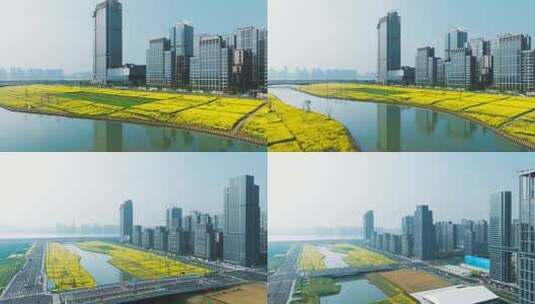 杭州亚运村油菜花高质感航拍长镜头1高清在线视频素材下载