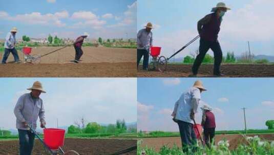 夏日的农村两个老人在地里犁地干农活播种高清在线视频素材下载