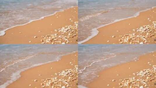 海边沙滩海滩贝壳高清在线视频素材下载