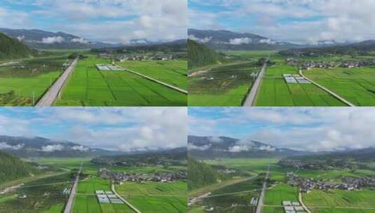 乡村绿色农田和笔直公路高清在线视频素材下载
