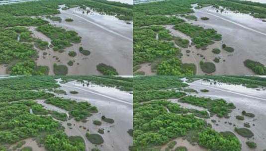 4k广东江门滨海新区银湖湾湿地红树林航拍高清在线视频素材下载