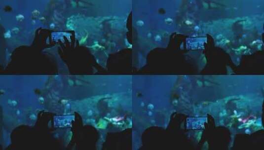 看演出水族馆海洋馆手机拍照高清在线视频素材下载