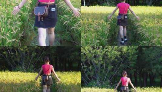 美女在稻田里走 摸稻谷高清在线视频素材下载