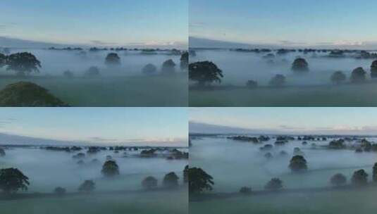 清晨日出云雾迷漫小鸟飞过公园树林草地高清在线视频素材下载