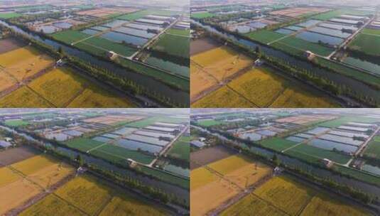 浙江省杭州市钱塘区大江东生态农场高清在线视频素材下载