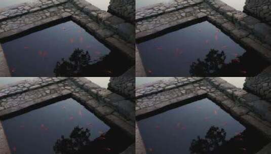 浙江温州永嘉苍坡古村落里的鱼池高清在线视频素材下载