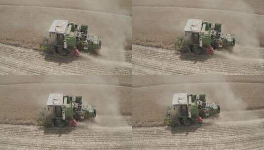 联合收割机收麦子高清在线视频素材下载
