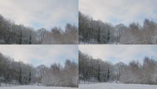 白雪覆盖的林地的道路高清在线视频素材下载