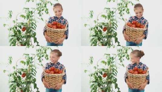 女孩开心的抱着一筐新鲜的西红柿高清在线视频素材下载