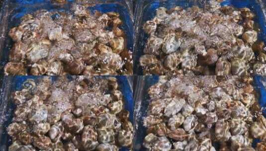 实拍超市生鲜海鲜花甲高清在线视频素材下载