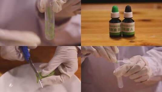 【镜头合集】试液试剂检测扁豆毒素高清在线视频素材下载