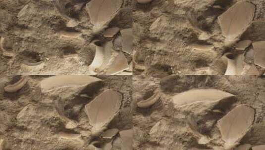 考古挖掘地下埋藏古董陶罐子高清在线视频素材下载