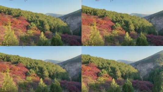 济南藏龙涧景区山脉风光高清在线视频素材下载