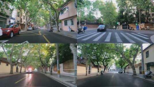 上海封城中的绿荫公路街道高清在线视频素材下载