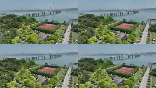 深圳湾运动公园高清在线视频素材下载