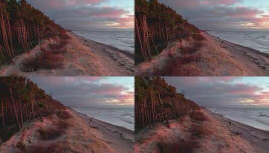 海滩上被夕阳染成红色的茂密森林边缘高清在线视频素材下载