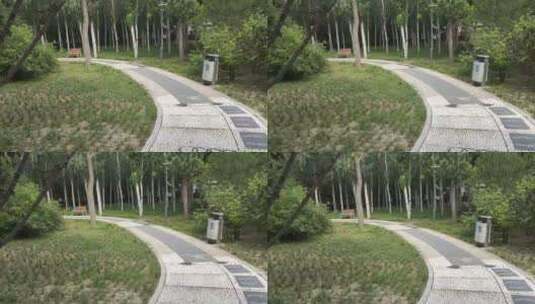 城市公园绿化里的小路高清在线视频素材下载