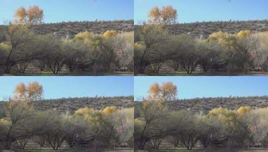蓝天下的山丘树木高清在线视频素材下载