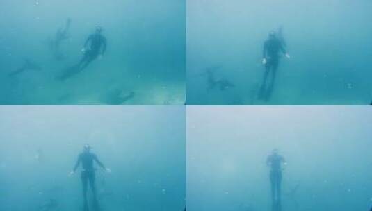 海里的潜水员和海豹高清在线视频素材下载