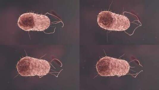 医疗病菌病毒细菌分子病原体生物三维动画高清在线视频素材下载