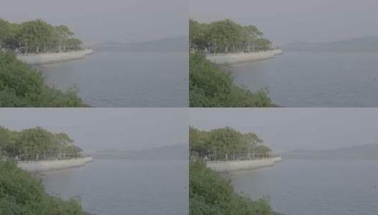深圳 蛇口 海上世界 海边 松下 V-Log高清在线视频素材下载