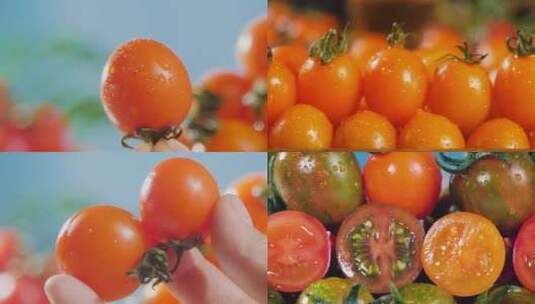 混色小番茄高清在线视频素材下载
