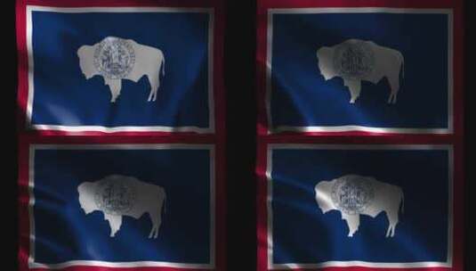 怀俄明州挥舞旗帜。怀俄明州挥舞旗帜动画。高清在线视频素材下载