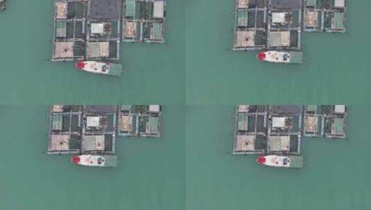 海陵岛马尾岛鱼排航拍高清在线视频素材下载