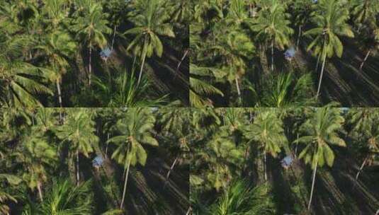 原创 印尼带岛屿棕榈树森林小木屋自然风光高清在线视频素材下载