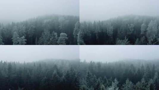 森林里的迷雾航拍高清在线视频素材下载