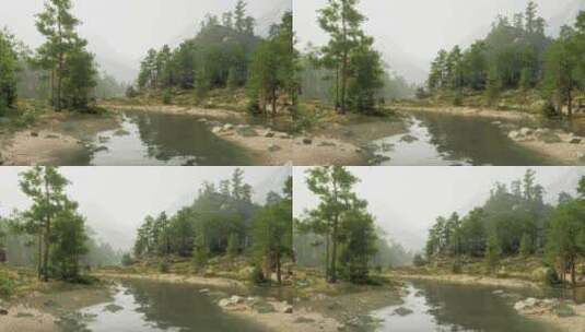 一条宁静的河流流经充满活力的绿色森林高清在线视频素材下载
