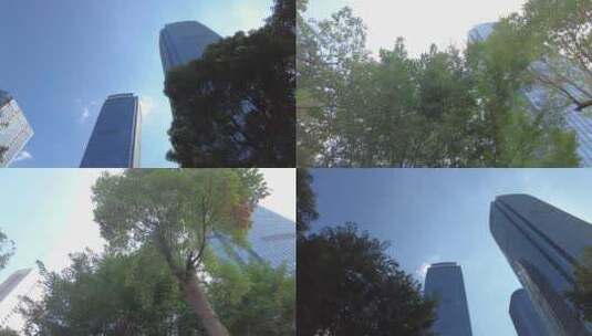 透过树枝叶仰望城市高楼大厦高清在线视频素材下载
