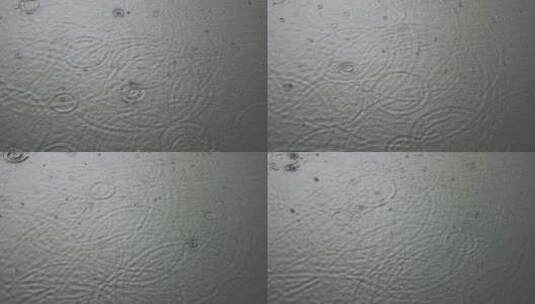 雨水雨滴落在水面溅起水花波纹高清在线视频素材下载