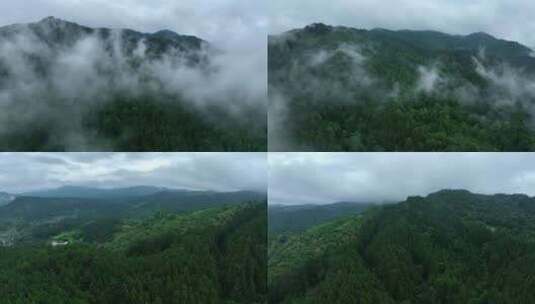 【4K】武夷山森林云雾缭绕航拍高清在线视频素材下载