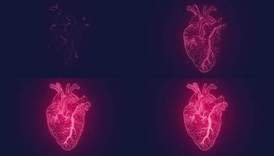健康人体心脏解剖医学概念动画高清在线视频素材下载