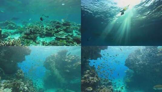 海浪飞舞 珊瑚丛生 潜水奇观 海底秘境高清在线视频素材下载