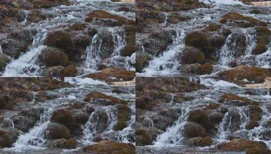 航拍四川九寨沟黄龙景区争艳池映月池迎宾池高清在线视频素材下载