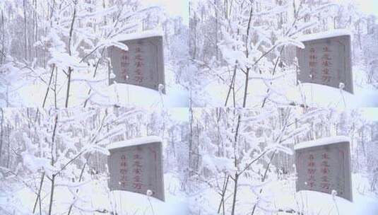 雪地林间森林防火石碑高清在线视频素材下载