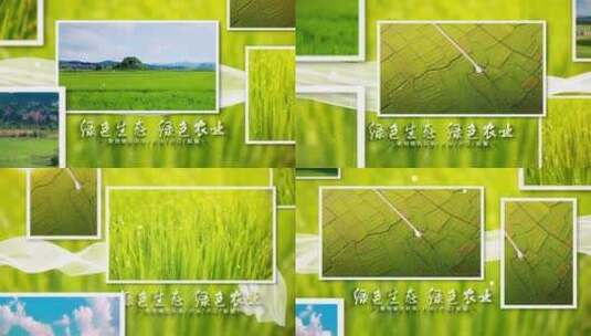 绿色环保相册展示片头高清AE视频素材下载