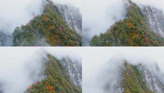 四川茂县秋季山峰彩林云雾缭绕山水画般风景高清在线视频素材下载