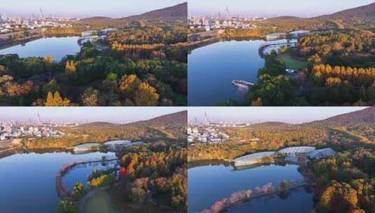 南京秋天 前湖公园 秋天 植物博物馆高清在线视频素材下载