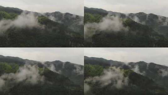 富春江水库起雾起飞2.7K高清在线视频素材下载