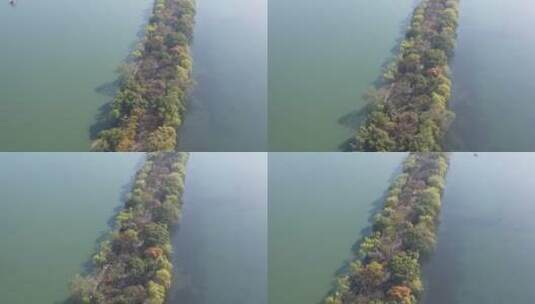 杭州西湖高清在线视频素材下载