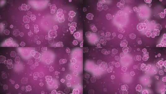 唯美紫色康乃馨粒子背景视频高清在线视频素材下载