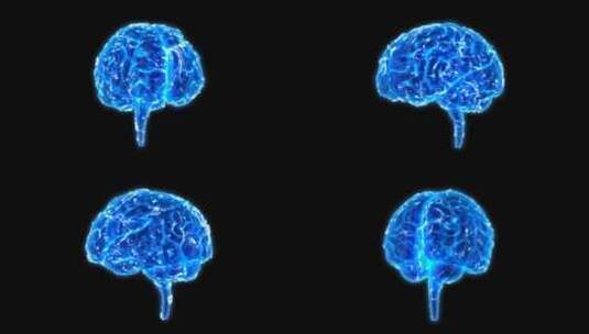 医学 大脑 脑科学 三维 脑ct1 模型高清在线视频素材下载